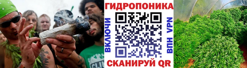 продажа наркотиков  Данков  mega онион  Канабис конопля 